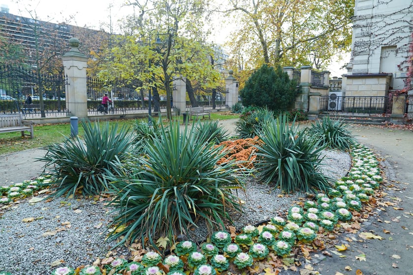 Jesienne nasadzenia rabat kwietnych, bylin i trwa ozdobnych - październik / listopad 2025 r.