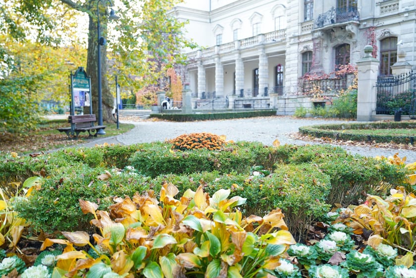 Jesienne nasadzenia rabat kwietnych, bylin i trwa ozdobnych - październik / listopad 2025 r.