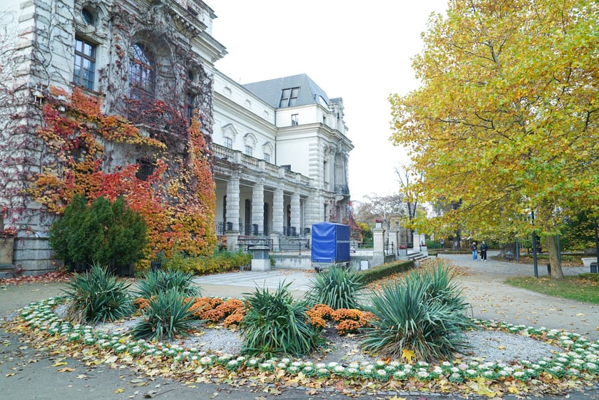 Jesienne nasadzenia rabat kwietnych, bylin i trwa ozdobnych - październik / listopad 2025 r.