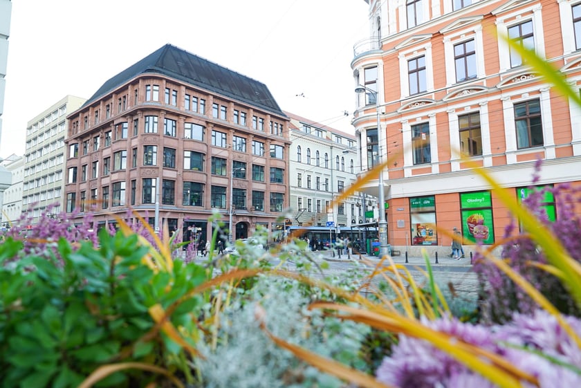 Jesienne nasadzenia rabat kwietnych, bylin i trwa ozdobnych - październik / listopad 2025 r.