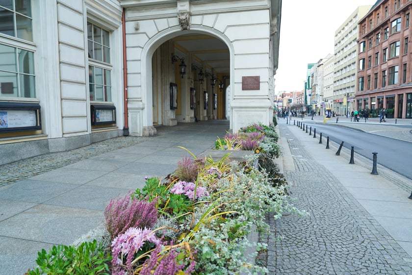 Jesienne nasadzenia rabat kwietnych, bylin i trwa ozdobnych - październik / listopad 2025 r.