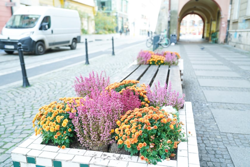 Jesienne nasadzenia rabat kwietnych, bylin i trwa ozdobnych - październik / listopad 2025 r.