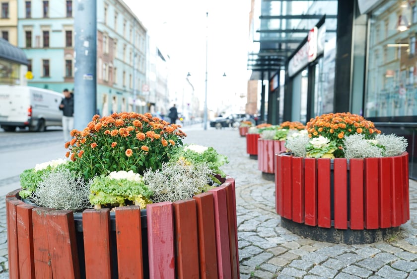 Jesienne nasadzenia rabat kwietnych, bylin i trwa ozdobnych - październik / listopad 2025 r.