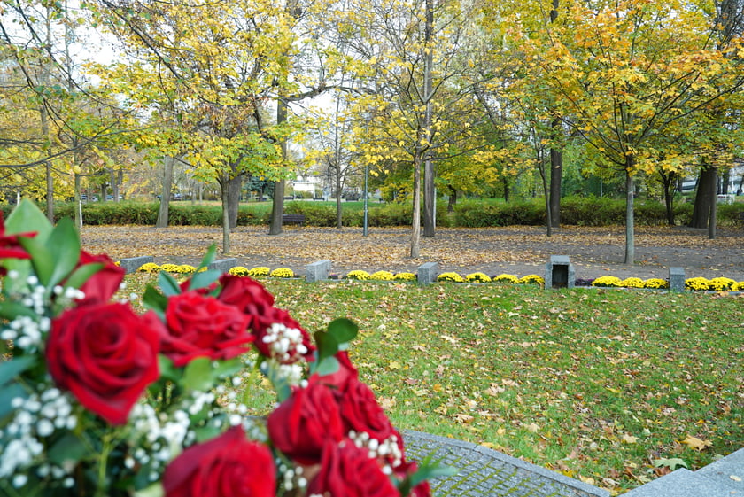 Jesienne nasadzenia rabat kwietnych, bylin i trwa ozdobnych - październik / listopad 2025 r.