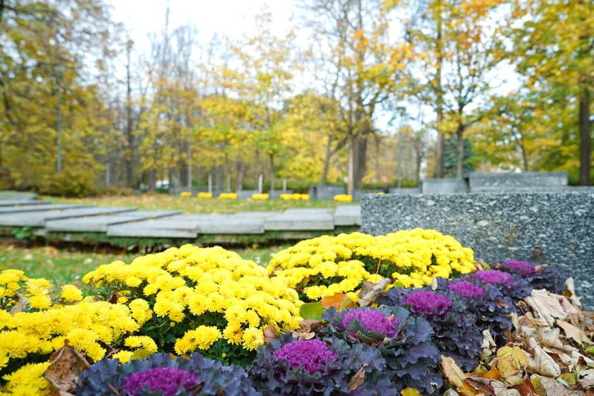 Jesienne nasadzenia rabat kwietnych, bylin i trwa ozdobnych - październik / listopad 2025 r.