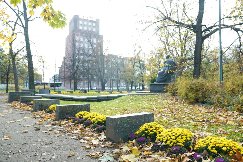 Jesienne nasadzenia rabat kwietnych, bylin i trwa ozdobnych - październik / listopad 2025 r.