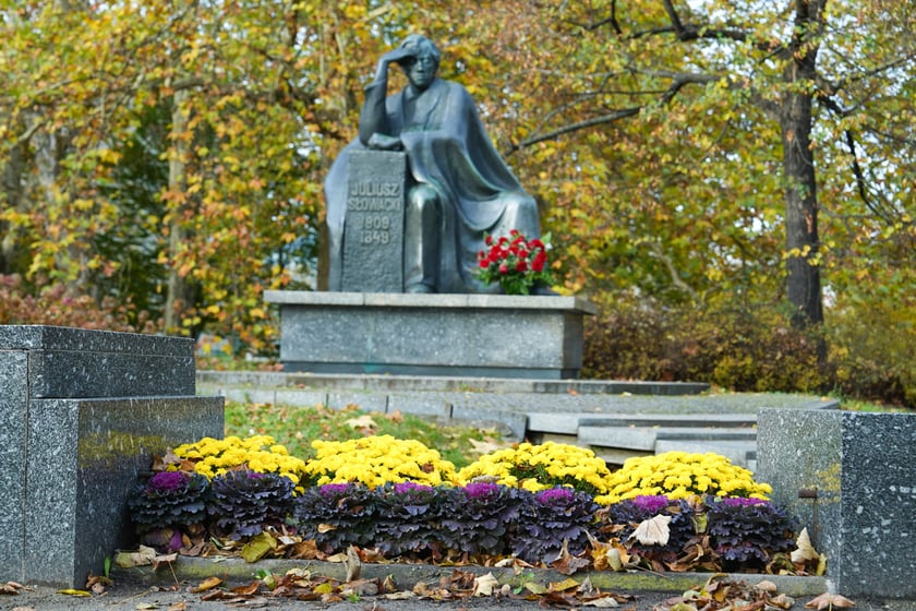 Jesienne nasadzenia rabat kwietnych, bylin i trwa ozdobnych - październik / listopad 2025 r.