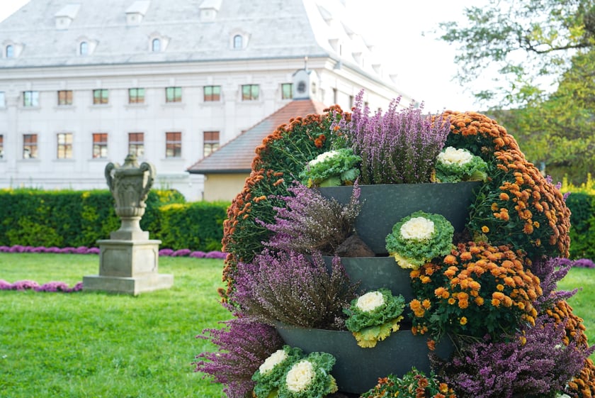 Jesienne nasadzenia rabat kwietnych, bylin i trwa ozdobnych - październik / listopad 2025 r.