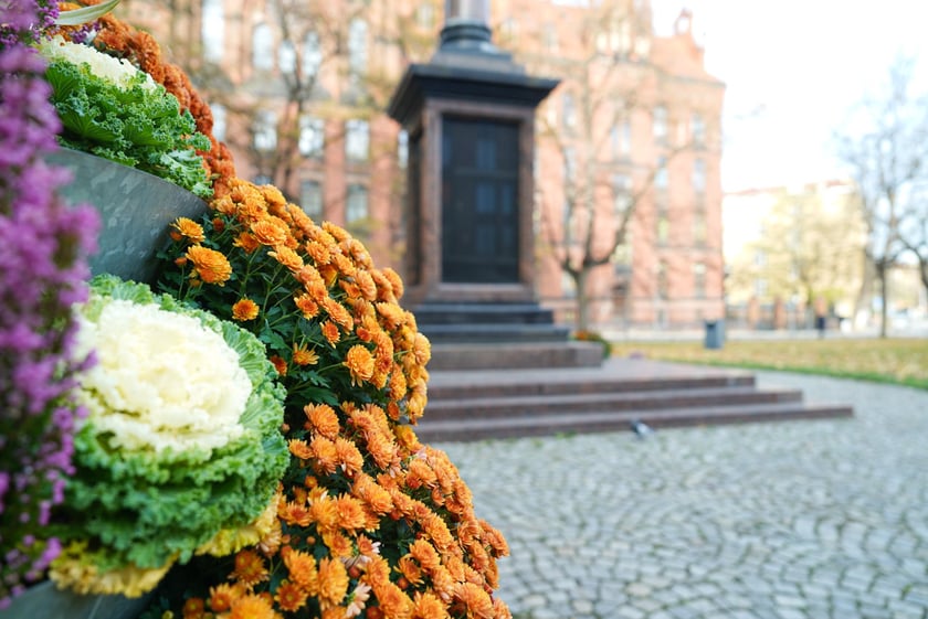 Jesienne nasadzenia rabat kwietnych, bylin i trwa ozdobnych - październik / listopad 2025 r.