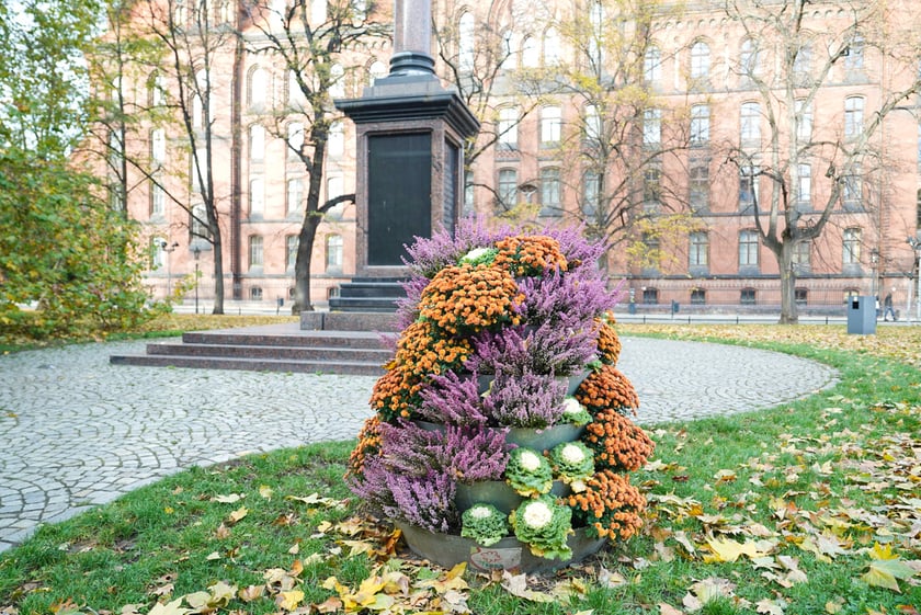 Jesienne nasadzenia rabat kwietnych, bylin i trwa ozdobnych - październik / listopad 2025 r.