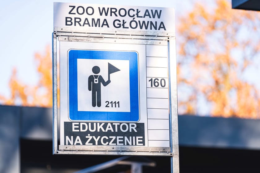 Edukator na życzenie” to wyjątkowy spacer po ogrodzie, pełen ciekawostek, odkryć i opowieści, których nie znajdziesz na tabliczkach