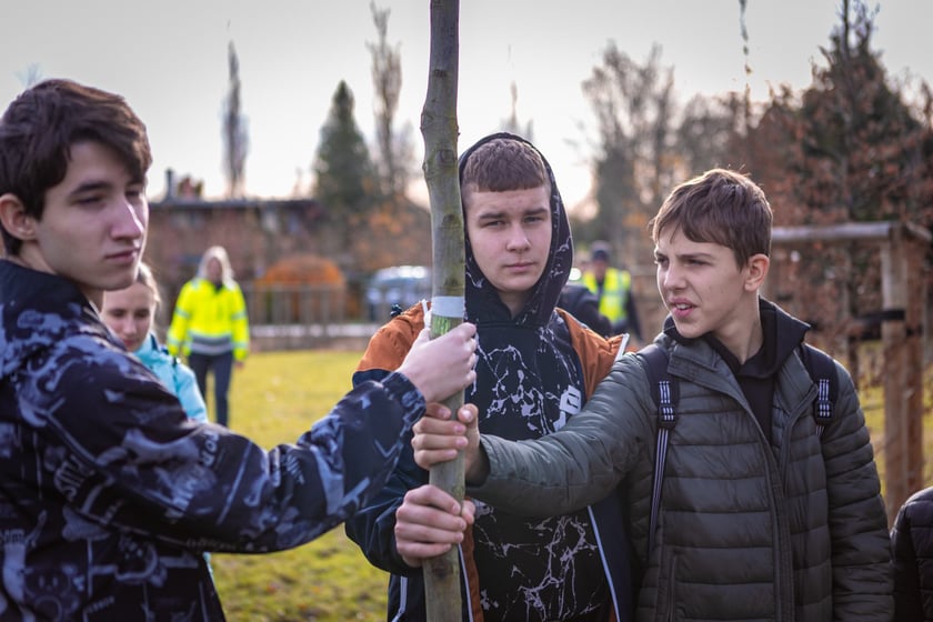 Dzieci z pieczy zastępczej sadzą drzewa w powstających Ogrodach Szczytnickich