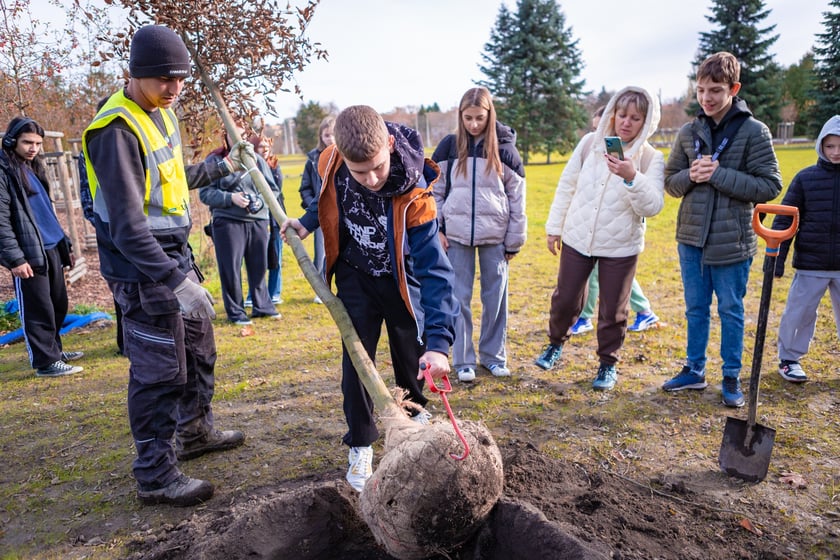 Dzieci z pieczy zastępczej sadzą drzewa w powstających Ogrodach Szczytnickich