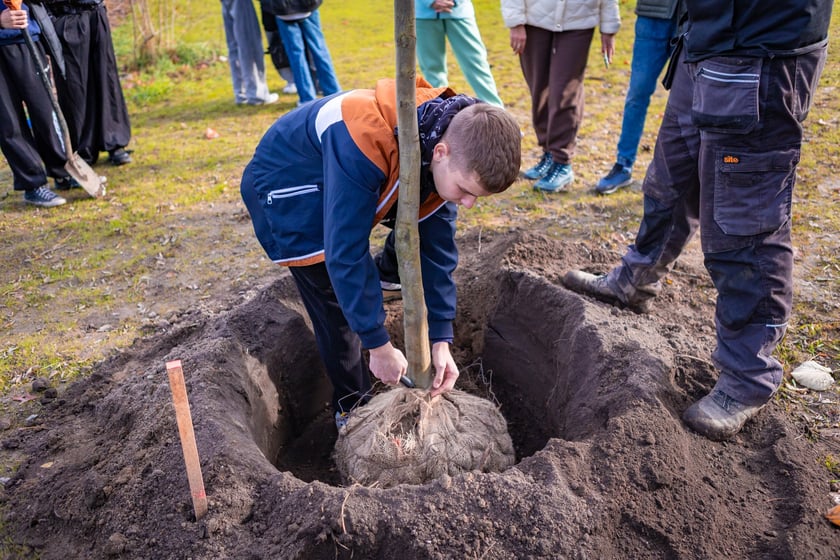 Dzieci z pieczy zastępczej sadzą drzewa w powstających Ogrodach Szczytnickich