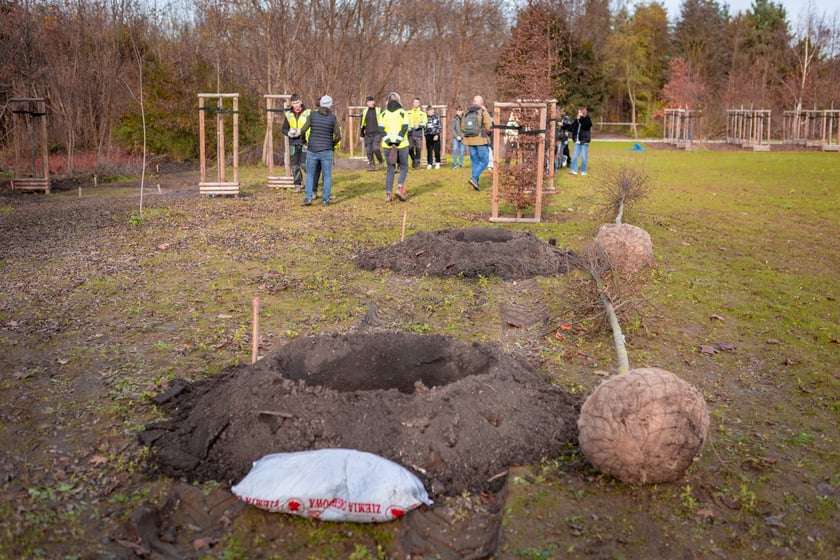 Dzieci z pieczy zastępczej sadzą drzewa w powstających Ogrodach Szczytnickich