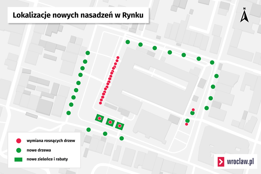 Mapa przedstawiająca miejsca, w których zostaną posadzone nowe drzewa i krzewy w Rynku