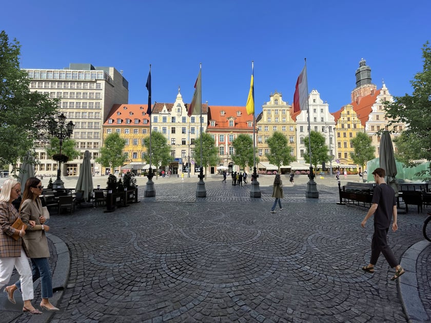 Wizualizacja nowych nasadzeń w Rynku