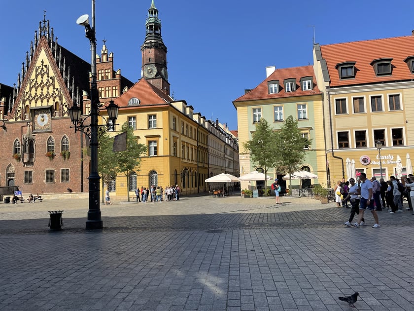 Wizualizacja nowych nasadzeń w Rynku