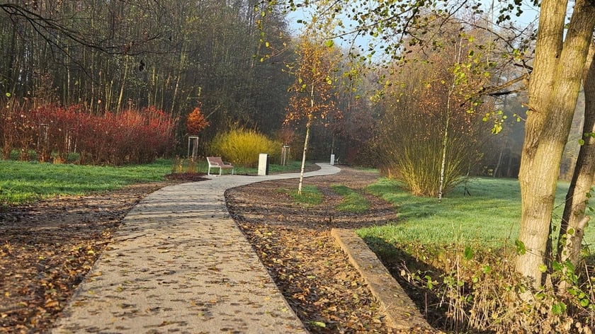 Zmiany w Ekoparku na Stabłowicach