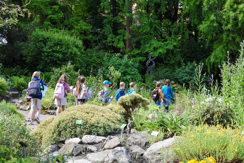 Wrocławska Akademia Młodego Ekologa