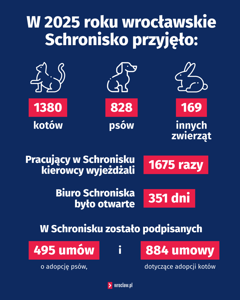 Grafika podsumowująca rok 2025 we wrocławskim Schronisku dla Bezdomnych Zwierząt