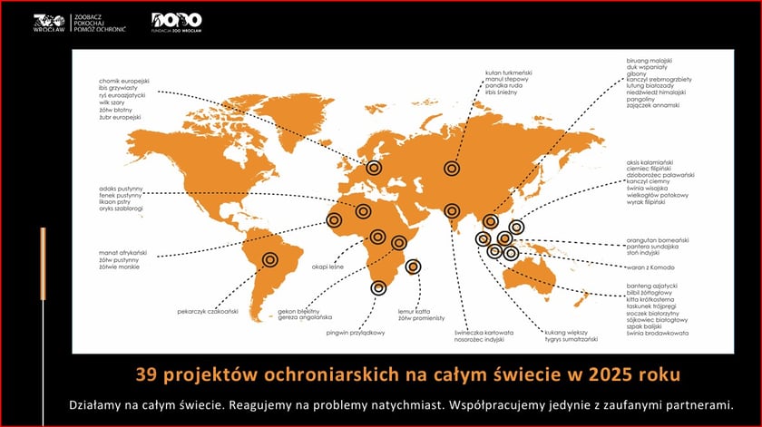 <p>Organizacje wspierane przez zoo i DODO działają na całym świecie</p>