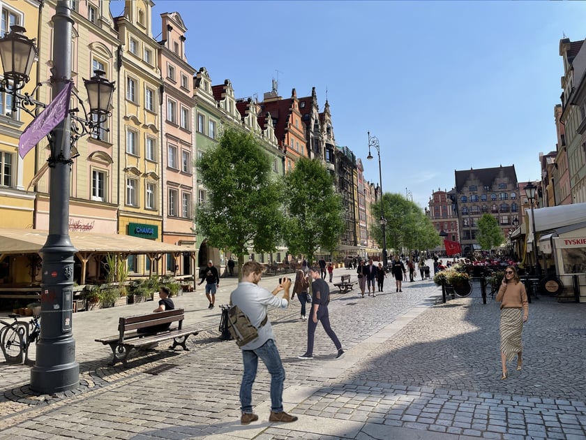 Wizualizacja nasadzeń nowych drzew na wrocławskim Rynku.