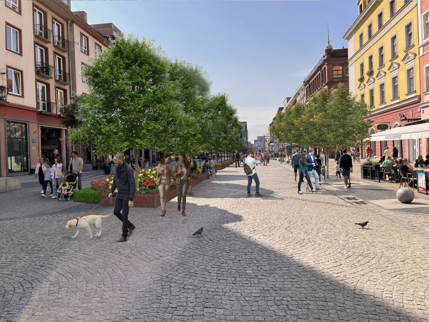 wizualizacja nowych drzew na odcinku ul. Świdnickiej między Rynkiem a ul. Kazimierza Wielkiego