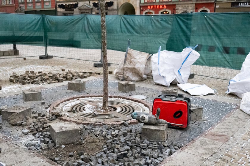 Prace w Rynku przy rozbiórce zabrukowanych nawierzchni - przygotowanie do nasadzeń nowych drzew.