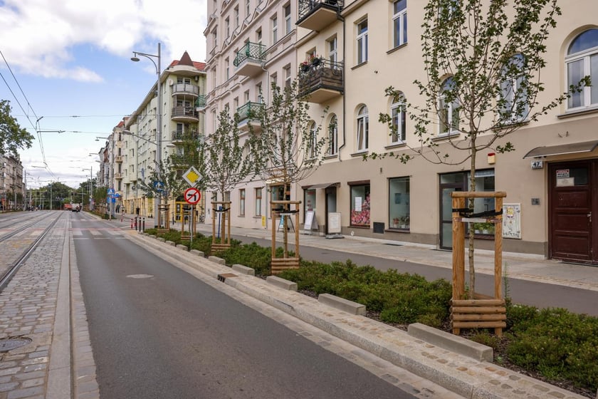 Zdjęcie nowo posadzonych drzew wzdłuż ulicy.