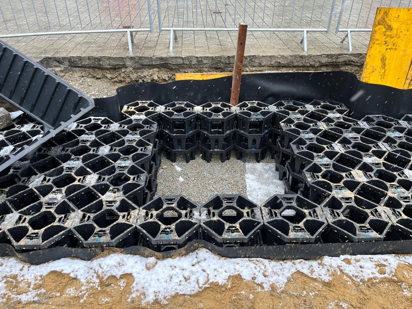 Wykop w chodniku - prace przygotowawcze do nasadzeń nowych drzew w Rynku - układanie systemu kompensacyjnego.