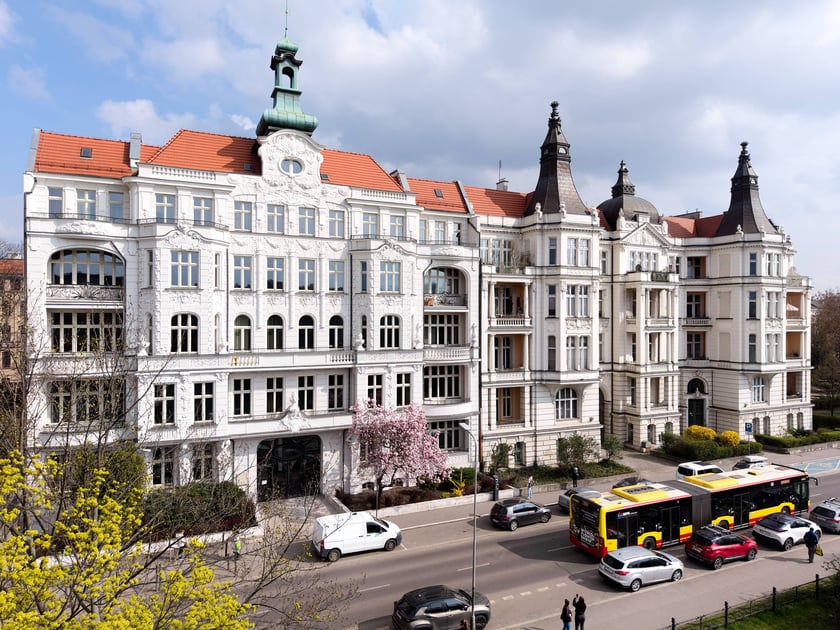 Zjawiskowa magnolia rosnąca przy zabytkowej kamienicy przy Podwalu.