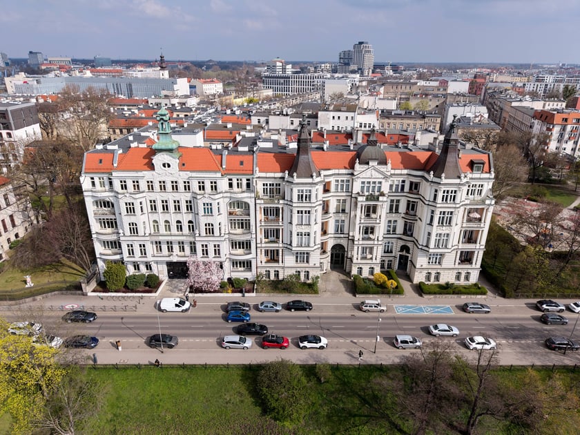 Zjawiskowa magnolia rosnąca przy zabytkowej kamienicy przy Podwalu.