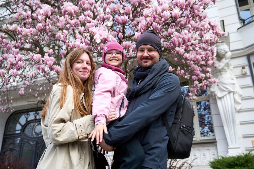 Zjawiskowa magnolia rosnąca przy zabytkowej kamienicy przy Podwalu.