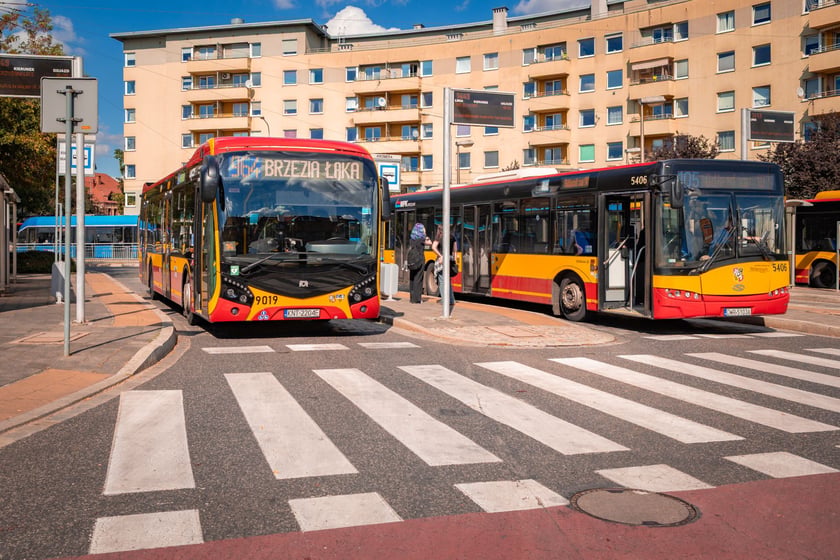 Autobusy na pętli - jeden linii aglomeracyjnej nr 964, drugi nr 105.