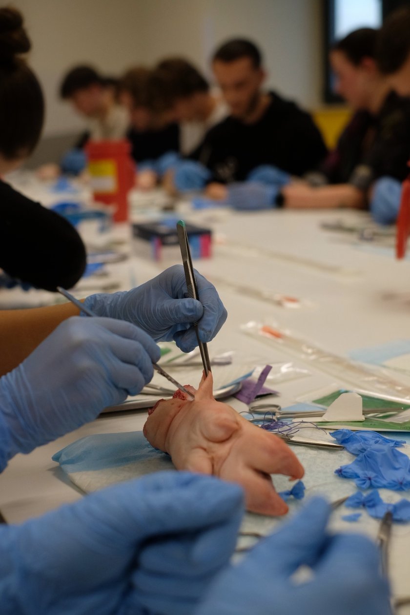 Powiększ obraz: Warsztaty w SKN Chirurgii Naczyniowej, Ogólnej i Transplantacyjnej