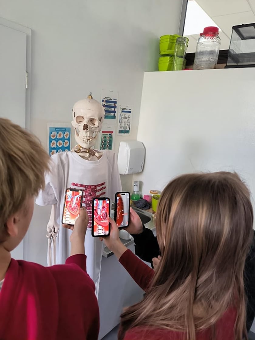 Zdjecia z lekcji biologii