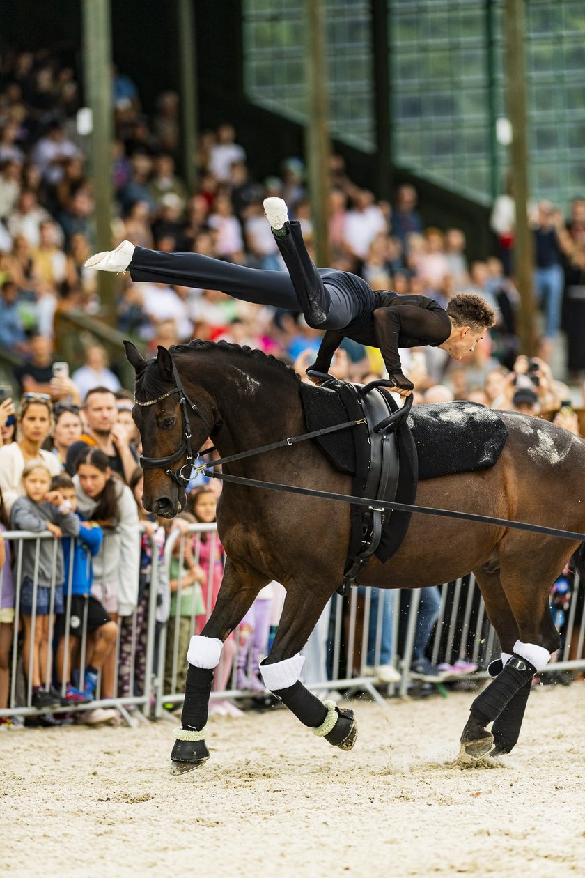 <p>Woltyżerka sportowa na Partynicach, zdjęcie archiwalne</p>