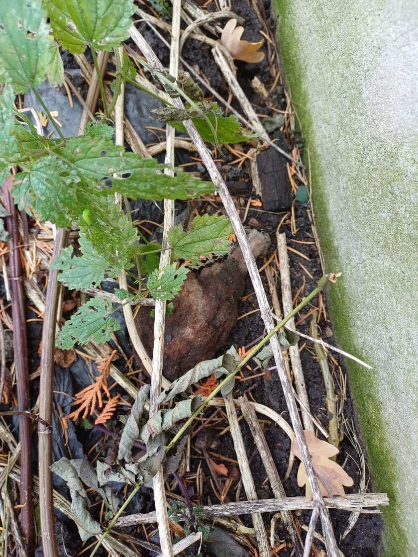 <p>Granat F1 znaleziono na terenie należacym do wojska</p>