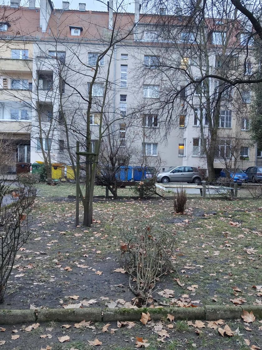 Podwórko na Ołbinie