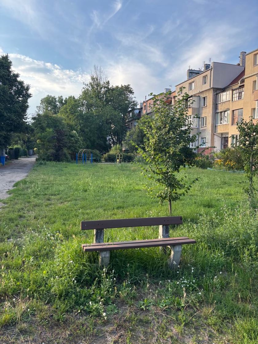 <p>Podw&oacute;rko na Tarnogajskie jest bardzo zielone - duża w tym zasługa mieszkańc&oacute;w. To dodatkowy atut, kt&oacute;ry zostanie wykorzystany przy projektowaniu tej przestrzeni</p>