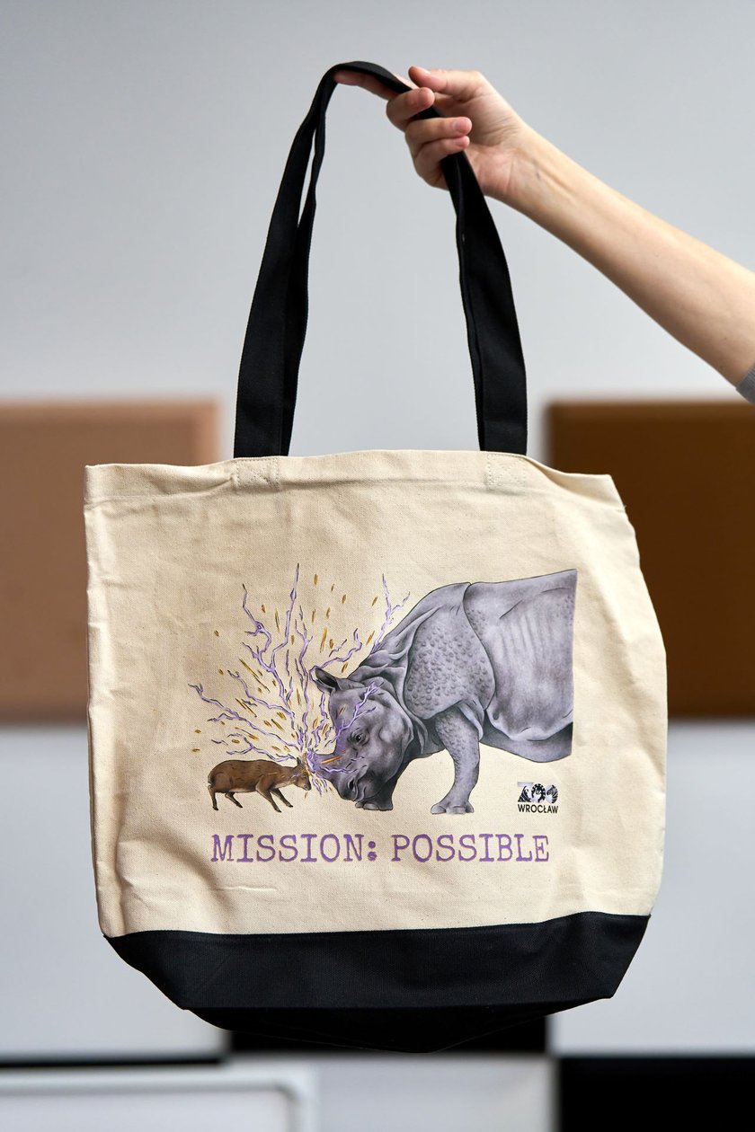 <p>Gadżety z limitowanej serii ZOO Wrocław do wygrania</p>