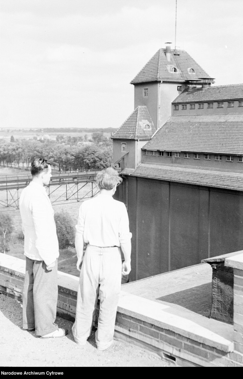 Powiększ obraz: <p>Polskie Zakłady Zbożowe we Wrocławiu, 1950</p>