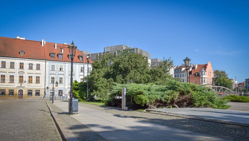 Powiększ obraz: Nowe poidełko na Wyspie Piasek, na ulicy Najświętszej Marii Panny