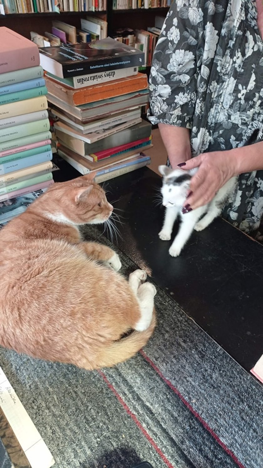 Powiększ obraz: <p>Tycjan z kotką Nutką</p>