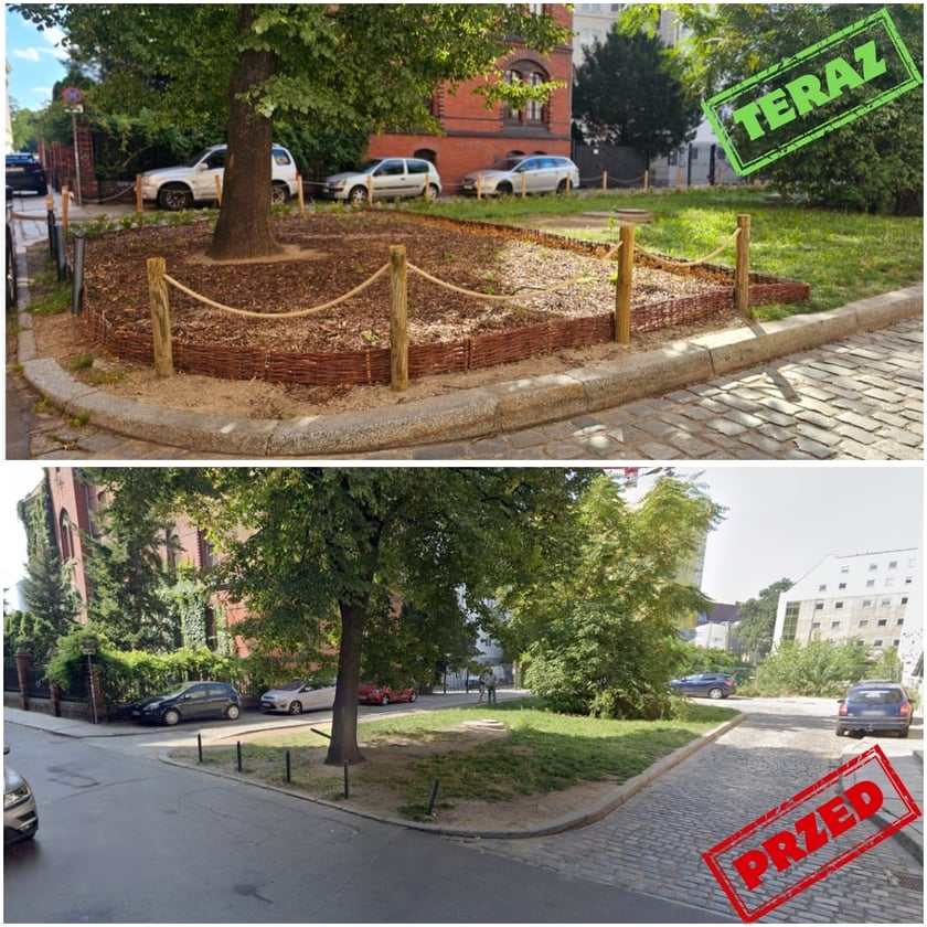 Powiększ obraz: <p>Plac Franciszkański przed i po rewitalizacji - skwer został wysypany korą i zrębkami, co zatrzymuje wilgoć i zabezpiecza glebę</p>