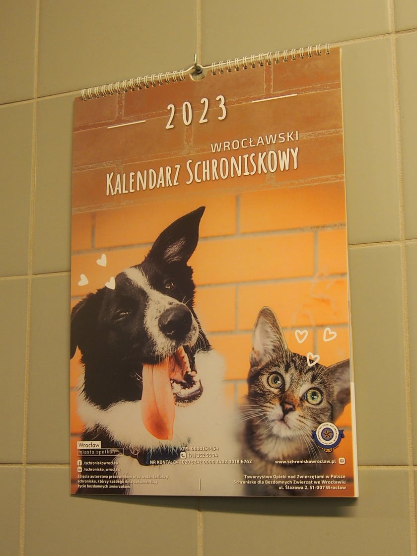 Kalendarz Schroniska dla Bezdomnych Zwierząt we Wrocławiu na 2023 rok