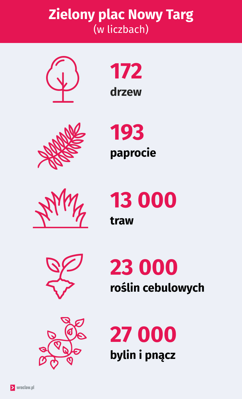 Grafika przedstawia dane o zazielenianiu pl. Nowy Targ. Rośnie tu 63 tysiące roślin: 172 drzewa, 193 paprocie, 13 tys. traw, 23 tys. roślin cebulowych, 27 tys. bylin i pnącza