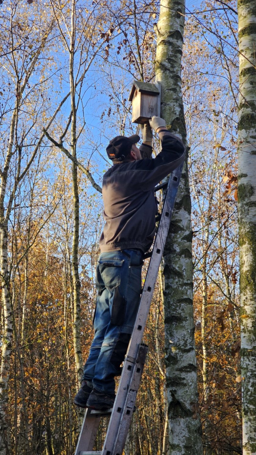 Jesienny przegląd i czyszczenie 70 budek lęgowych rozmieszczonych w różnych częściach Wrocławia.