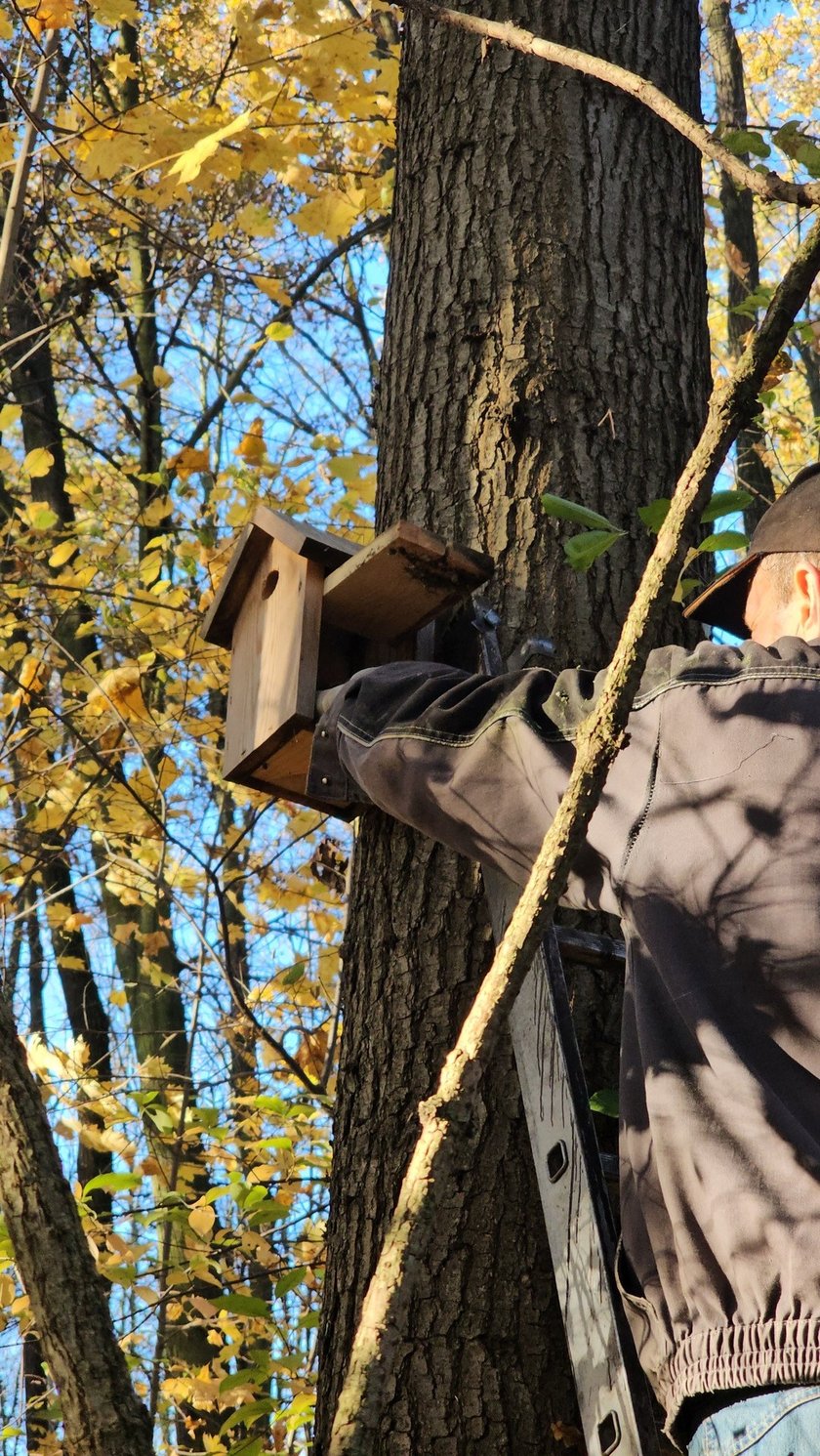 Jesienny przegląd i czyszczenie 70 budek lęgowych rozmieszczonych w różnych częściach Wrocławia.